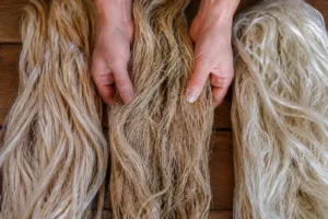 This image illustrates the tactile quality and visual contrast of raw bast fibers, key players in sustainable textile production.
