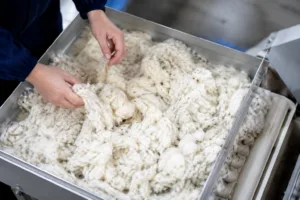 Raw Merino, Cashmere, and Lambswool fibers are sorted and cleaned in an industrial textile facility under natural daylight. The focus is on quality control before spinning.