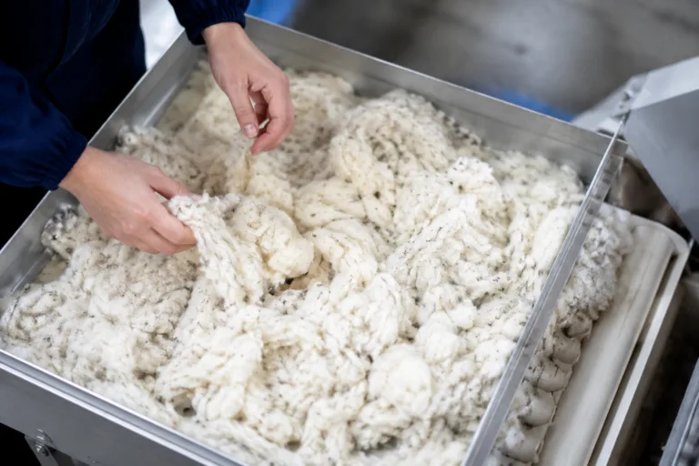Raw Merino, Cashmere, and Lambswool fibers are sorted and cleaned in an industrial textile facility under natural daylight. The focus is on quality control before spinning.